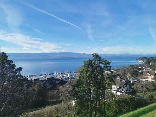 Où dégoter la bonne annonce immobilière pour investir dans un immeuble à Thonon ?